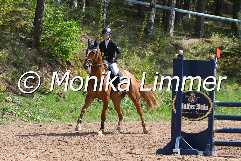 004M1873_Silvio B_Springpferde A xx.JPG